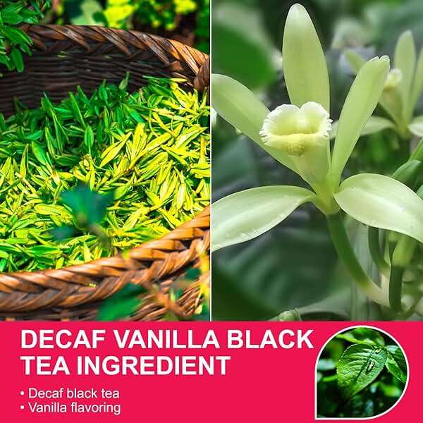 WT WEETEE Decaf Black Tea with Vanilla Flavor, 50 Count Decaffeinated Vanilla Black Teabags, CO2-Decaffeinated Black Tea | Drink All Day | Resealable Kraft Bag - Image 2