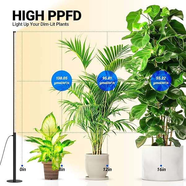 Barrina T10 Pro Standing Grow Light with Timer, 42W, 169 LEDs, Full Spectrum Vertical Grow Light for Indoor, Wide Coverage, 4FT to 5.6FT Height with Foot Switch, Ideal for Flowering and Tall Plants - Image 4