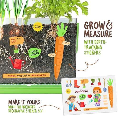 Dan&Darci Root Viewer Kit for Kids - Grow Your Own Plant for Boys & Girls Gifts - Science STEM Toy & Craft Growing Kits for Ages 4-8 Birthday Gifts for Boy, Girl 4, 5, 6, 7, 8, Year Old - Image 3