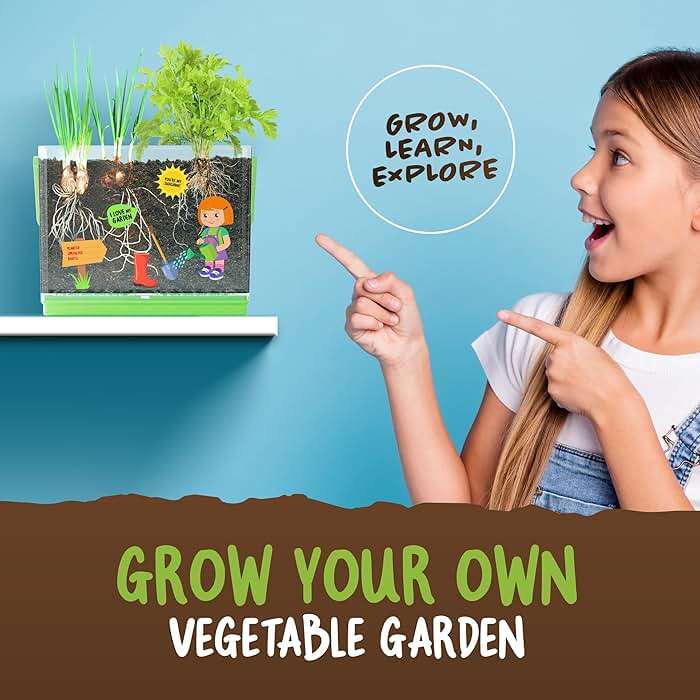Dan&Darci Root Viewer Kit for Kids - Grow Your Own Plant for Boys & Girls Gifts - Science STEM Toy & Craft Growing Kits for Ages 4-8 Birthday Gifts for Boy, Girl 4, 5, 6, 7, 8, Year Old - Image 4