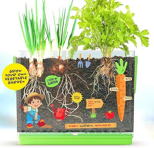 Dan&Darci Root Viewer Kit for Kids - Grow Your Own Plant for Boys & Girls Gifts - Science STEM Toy & Craft Growing Kits for Ages 4-8 Birthday Gifts for Boy, Girl 4, 5, 6, 7, 8, Year Old - Image 9