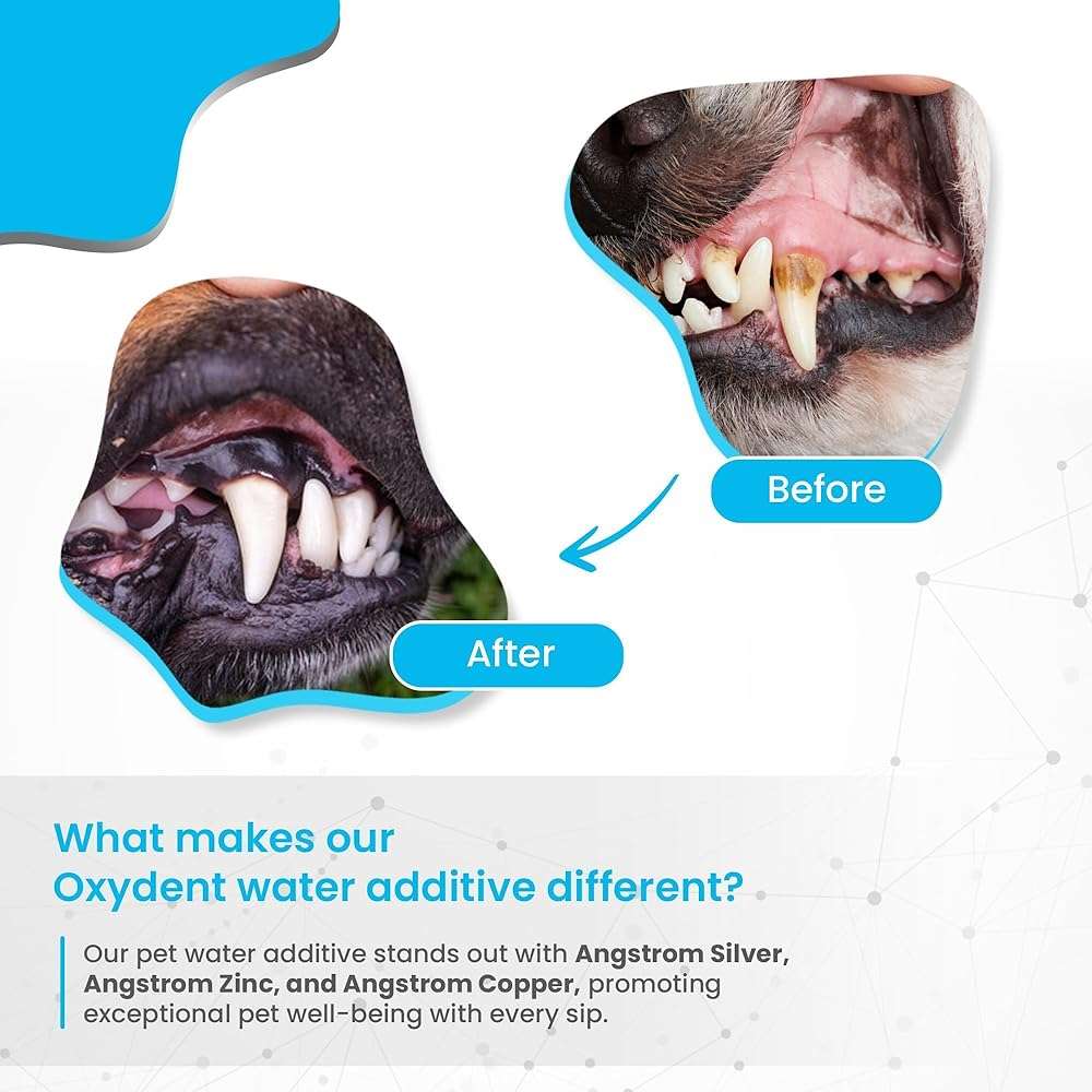 Infinite Health Labs Oxydent Premium Pet Dental Care Solution - Pet Water Additive & Mouthwash for Teeth Cleaning - Eliminate Bad Dog & Cat Bad Breath - Dog Dental Rinse - Fights Tartar & Plaque - Image 8