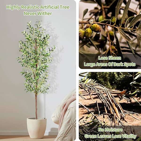 CETRD Artificial Olive Tree, 6FT Tall Faux Olive Trees 72in Outdoor Fake Potted Silk Plant with Trunk and Realistic 648 Leaves and 24 Fruits for Modern Office Home Decor Indoor(1pack) - Image 3