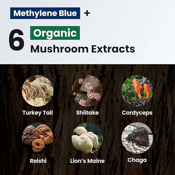 Nutricel Supplements Methylene Blue Capsules with Mushroom Extracts: Lion's Mane, Reishi, Cordyceps, Chaga, Shiitake, Turkey Tail - Trusted Made in America - 7mg (USP Grade) (60ct) - Image 10