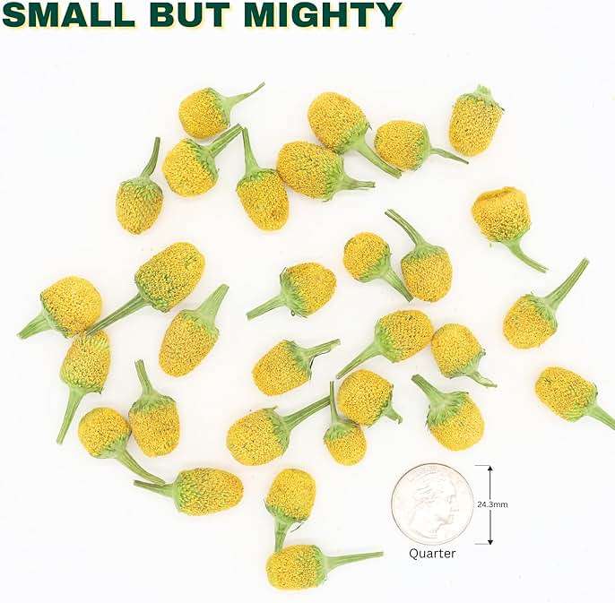 Buzz Buttons Edible Flowers For Cocktails | Grown In USA | Spilanthes | Freeze Dried Edible Flowers for Drinks | Szechuan Buttons | Edible Dried Flowers For Drink Garnish | .2oz Pouch - Image 7
