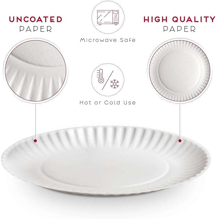 Alitte 9-Inch Disposable Paper Plates - 500 Count - Bulk Pack of Uncoated Paper Plates for Everyday Use - Dinnerware for Meals, Parties And Picnics - Image 4