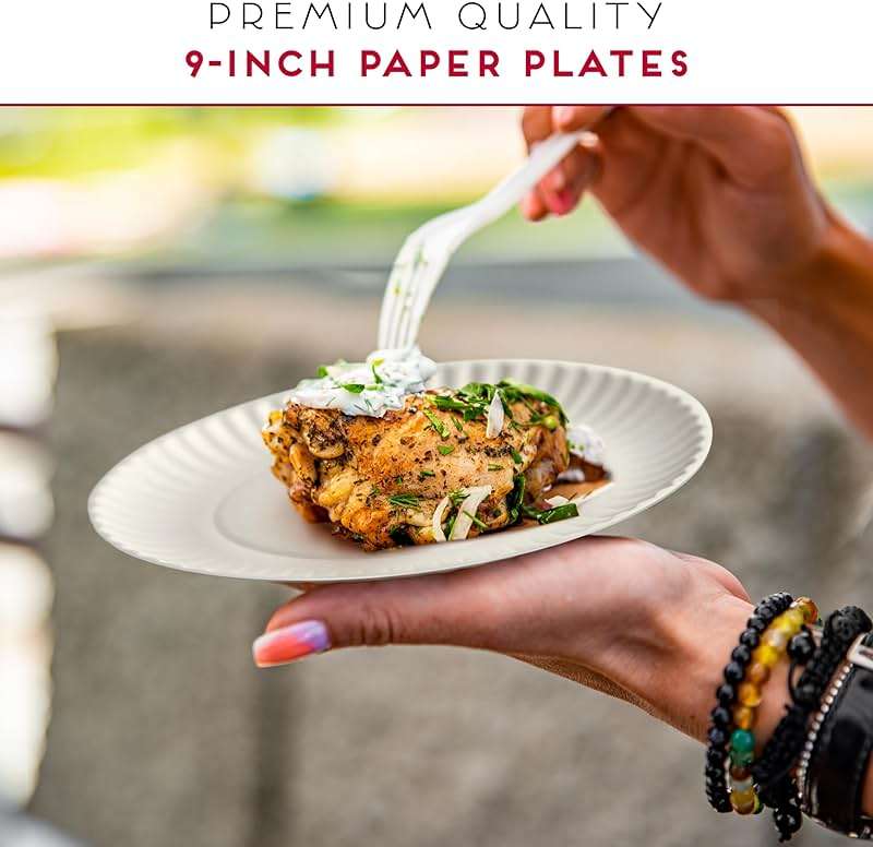 Alitte 9-Inch Disposable Paper Plates - 500 Count - Bulk Pack of Uncoated Paper Plates for Everyday Use - Dinnerware for Meals, Parties And Picnics - Image 5