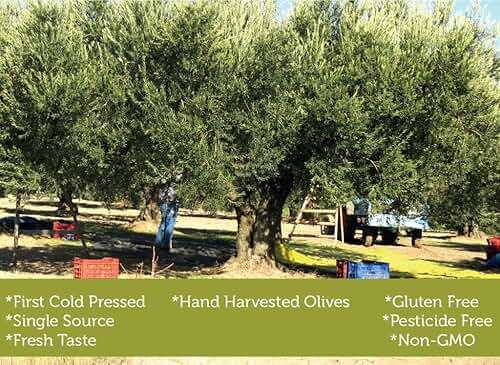 Extra Virgin Olive Oil Cold Pressed - London Award-Winning - 33.81 Fluid Ounce,Antique Ephesus, Mediterranean Region of Ayvalik Turkey (Extra Virgin) - Image 3