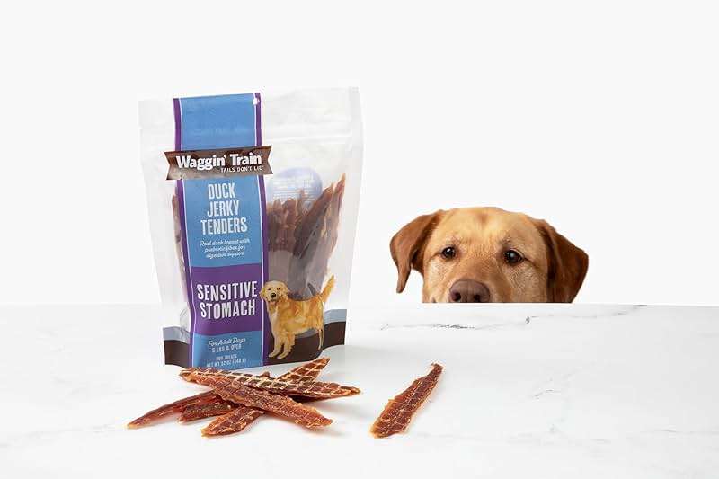 Waggin' Train Duck Jerky Dog Treats for Dogs with Sensitive Stomachs, Made with 100% Real Duck Breasts, Three All-Natural Ingredients, High Protein Dog Treat, Easily Digestible for Dogs, 12 oz. Pouch - Image 7