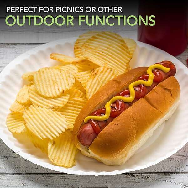 Stock Your Home 9-Inch Paper Plates Uncoated, Everyday Disposable Plates 9" Paper Plate Bulk, White, 100 Count - Image 6