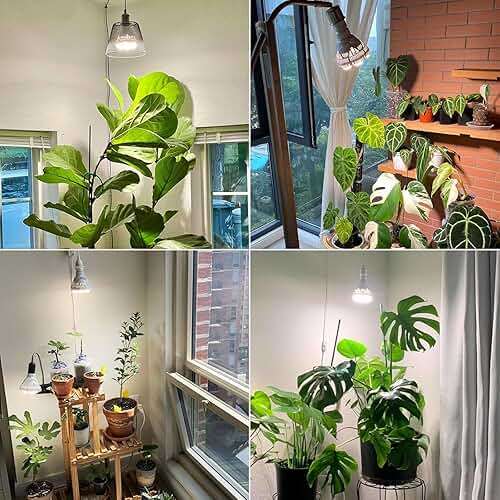 SANSI Dimmable Grow Light Bulb Full Spectrum, High PPFD 40W (600 Watt Equiv) with Remote, Auto On Off Timing 4 8 12 Hrs, Energy Saving Plant Light Bulb with E26 Base for Indoor Plants - Image 7