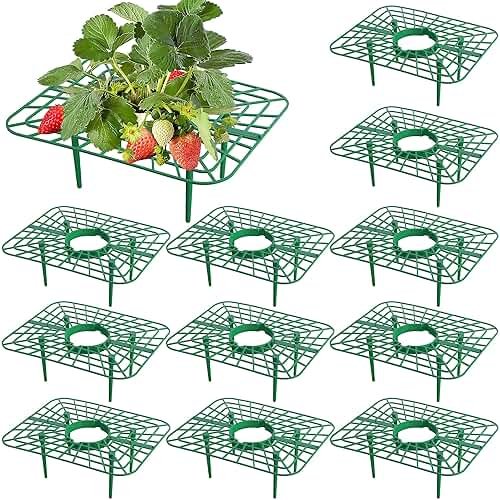 Iceyyyy 12 Packs Square Strawberry Supports-Strawberry Growing Racks- Plant Support Strawberry Stand Holder Growing Frame Keep Berries Clean - Product Image