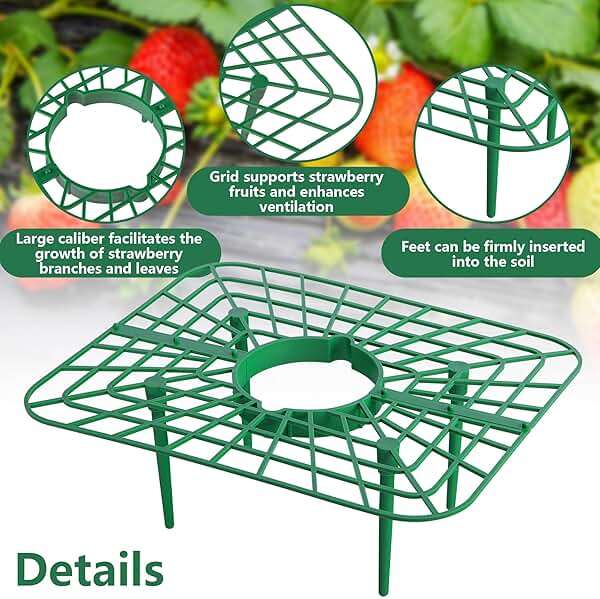 Iceyyyy 12 Packs Square Strawberry Supports-Strawberry Growing Racks- Plant Support Strawberry Stand Holder Growing Frame Keep Berries Clean - Image 4