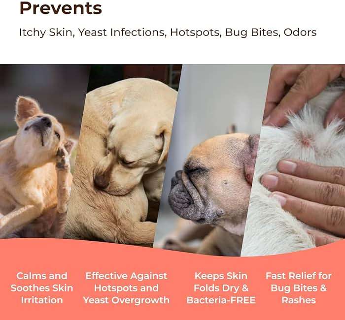 COAT DEFENSE Daily Preventative Powder | Made in USA | 3.5oz Waterless Dog Shampoo & Pet Deodorizer for Smelly Dogs | Provides Anti Itch Relief | Dog Dry Shampoo for Dry Itchy Skin - Image 4