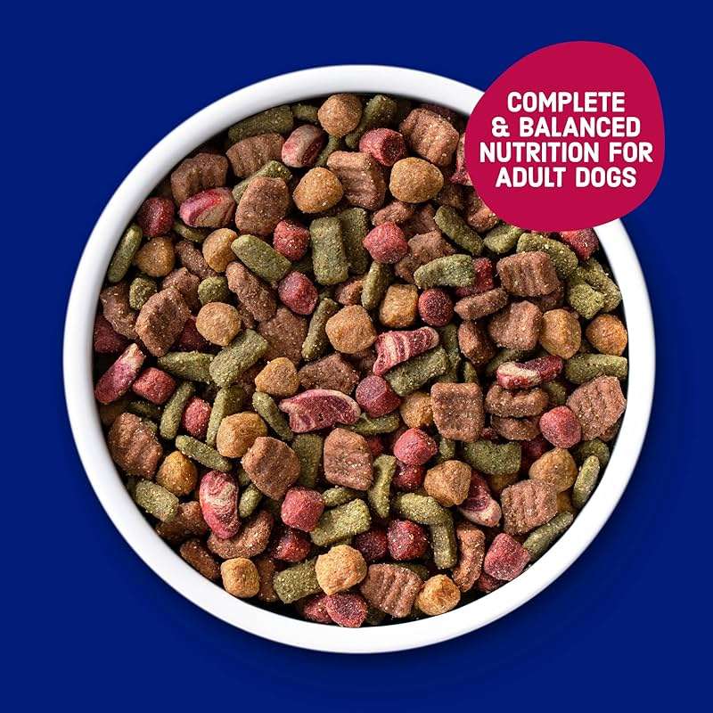 Kibbles 'n Bits Bistro Dry Dog Food, Oven Roasted Beef, Spring Vegetable & Apple Flavors for Adult Dogs, 45 lb. Bag - Image 3