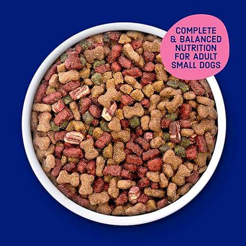 Kibbles 'n Bits Mini Bits Small Breed Dry Dog Food, Savory Bacon & Steak Flavor for Adult Dogs, 3.5 lb. Bag - Image 3