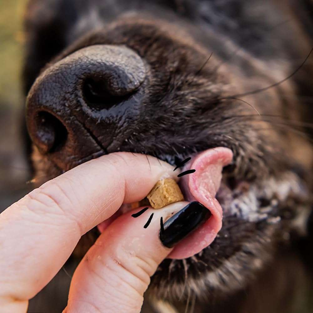 Spot & Tango Beef Liver Dog Training Treats - 100% Beef Liver, Freeze-Dried Dog Snack - Grain & Gluten-Free - for Small, Medium, and Large Dogs - for Puppies Through Seniors - Image 6