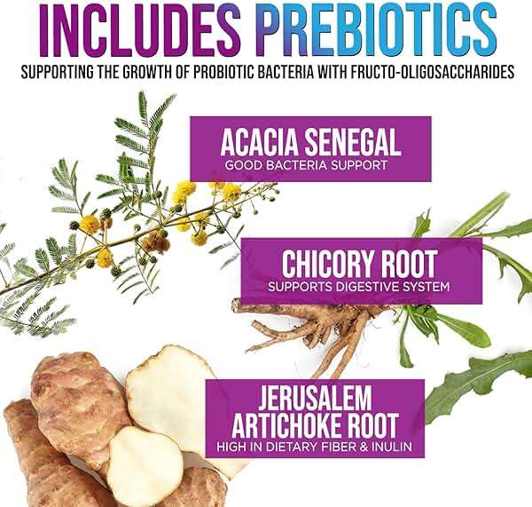 Probiotics 100 Billion CFU Per Serving - 10 Premium Strains + Prebiotics - Best Probiotic Supplement for Women & Men - Supports Immune, Digestive Health, Occasional Constipation & Gas - 120 Capsules - Image 6
