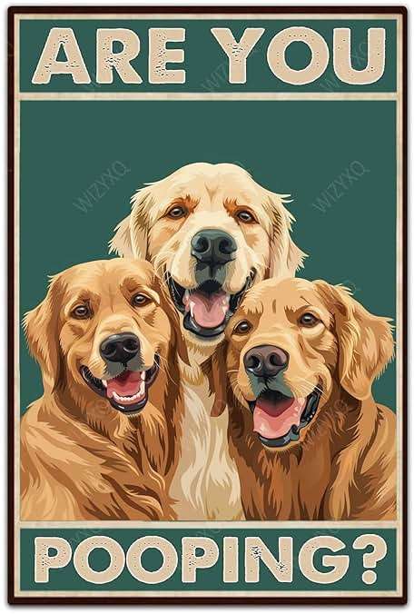 WIZYXQ Metal Signs Are You Pooping Three Golden Retriever Dog Sign Vintage Aluminum Tin Sign for Home Office Kitchen Bar Cafe Garden Wall Decor 12x8 Inch - Image 1