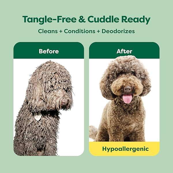 Earth Rated Dog Detangler Shampoo & Conditioner, Hypoallergenic 3-in-1 for Dogs & Puppies, Deodorizing, 98.5% Natural Origin Ingredients, for Doodles & Poodles, 16 oz - Image 2