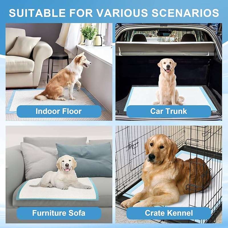 LNWJSRX Puppy Pee Pads for Dogs Extra Large 31""x47"" 40 Count, Leak-Proof & Super Absorbent, Thicken Disposable Potty Training Pads for Doggie Cats Rabbits, Quick Dry Pet Piddle Pad, Blue&white - Image 4