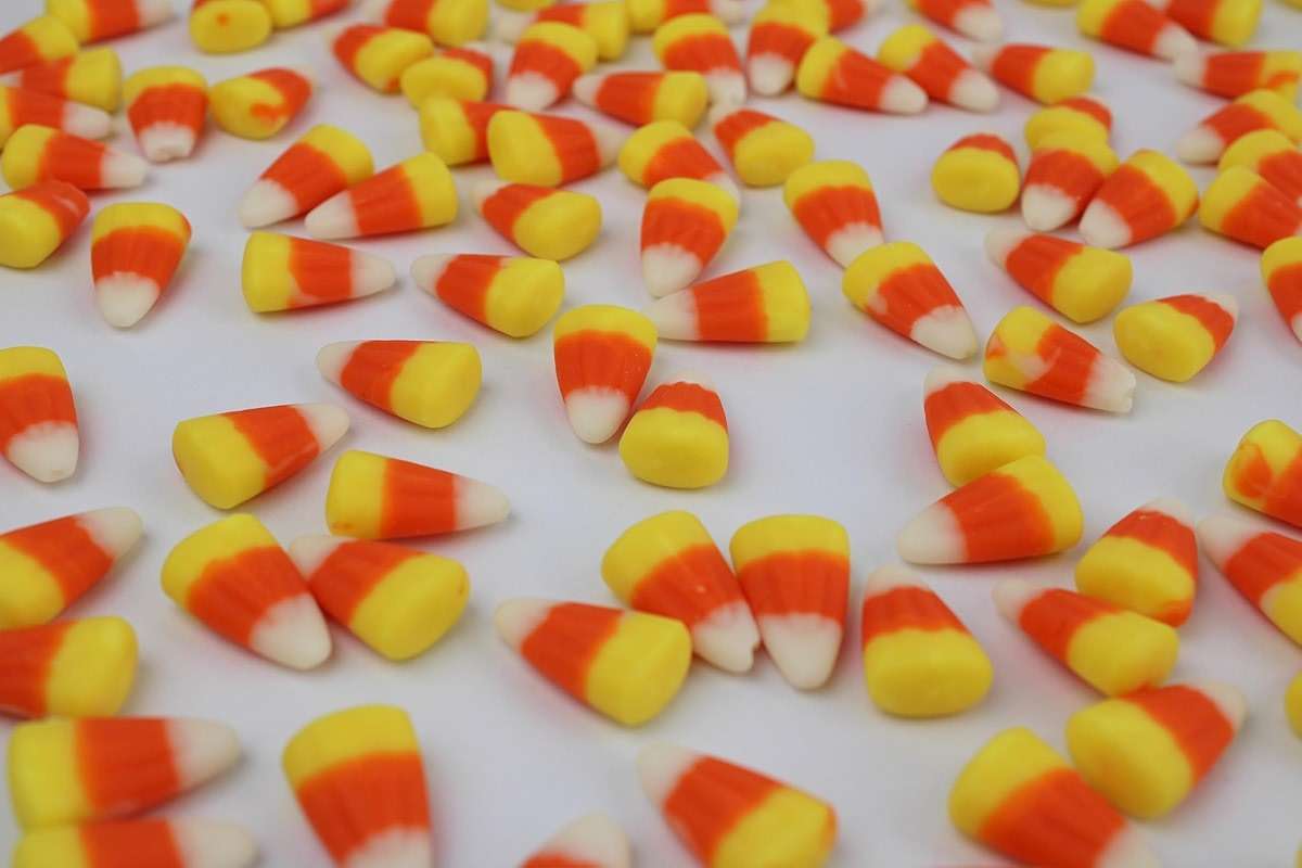 Candy Corn Autumn Mix- Pumpkin and Candy Corn Bulk Blend-Mellowcreme Fall Harvest Festival Mix (2 Pound) - Image 8
