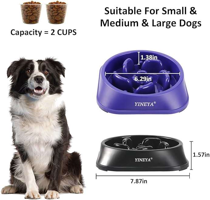 YINEYA 2PCS Slow Feeder Dog Bowls, Pet Supplies That Slow Down Eating, Pet Food Bowls, Maze Dog Puzzle Feeder for Medium Breed - Image 5