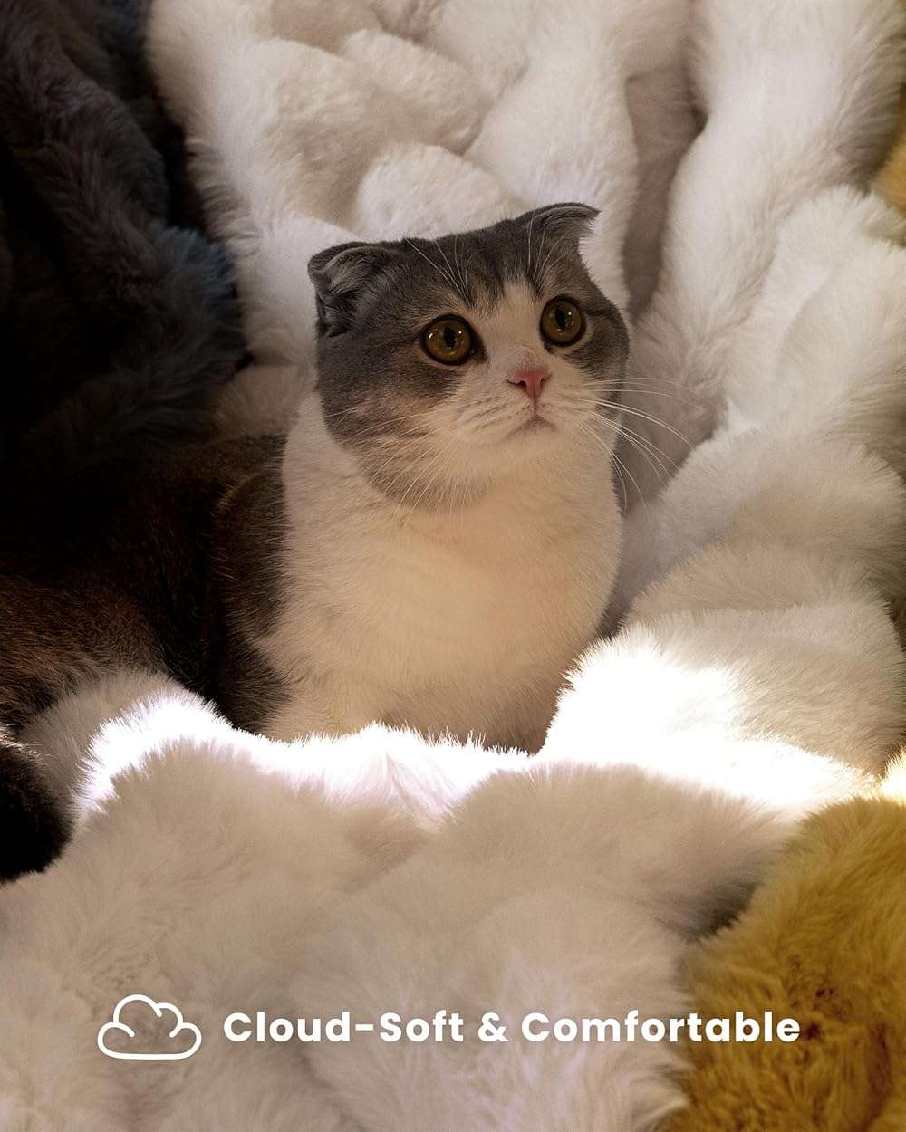 blunique Ultra Soft Cozy Faux Fur Throw Blanket, Fuzzy Plush Thick Bubble Blanket, Luxury Fluffy Blanket for Couch, Sofa, Bedroom, and Living Room, 50x60 Inches, Cream White - Image 3