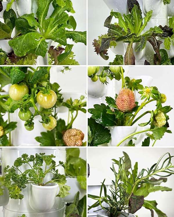 DPROOTS Hydroponic Tower Growing System,45 Pods Vertical Garden,Suitable for Indoor and Greenhouse, Grow Herbs and Vegetables,Houseplant Farming with Water Circulation and Automatic Timer - Image 5