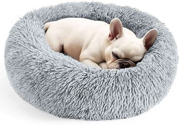 Hoewina Dog & Cat Bed for Indoor Cats, 20in Calming Donut Bed for Puppy and Kitten, Washable Round Fluffy Pet Bed for Small Medium Dogs and Cats (Light Grey) - Image 1