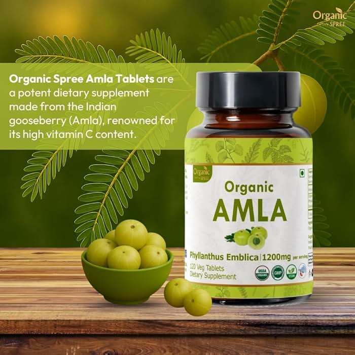 ORGANIC SPREE Amla Tablets - 1200 mg per Serving - Indian Gooseberry, Phyllanthus Emblica Supplement, Rich in Vitamin C & Supports Immune Health,120 Tablets* - GMP and Organic Certified - Image 2