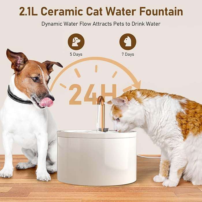 DOOOB Ceramic Cat Water Fountain, 2.1L/71oz Ceramic Cat Fountain, Automatic Ceramic Water Fountain for Cats, Pet Water Fountain with Ultra-Quiet Pump and 3 Filters & 3 Sponges (White) - Image 5