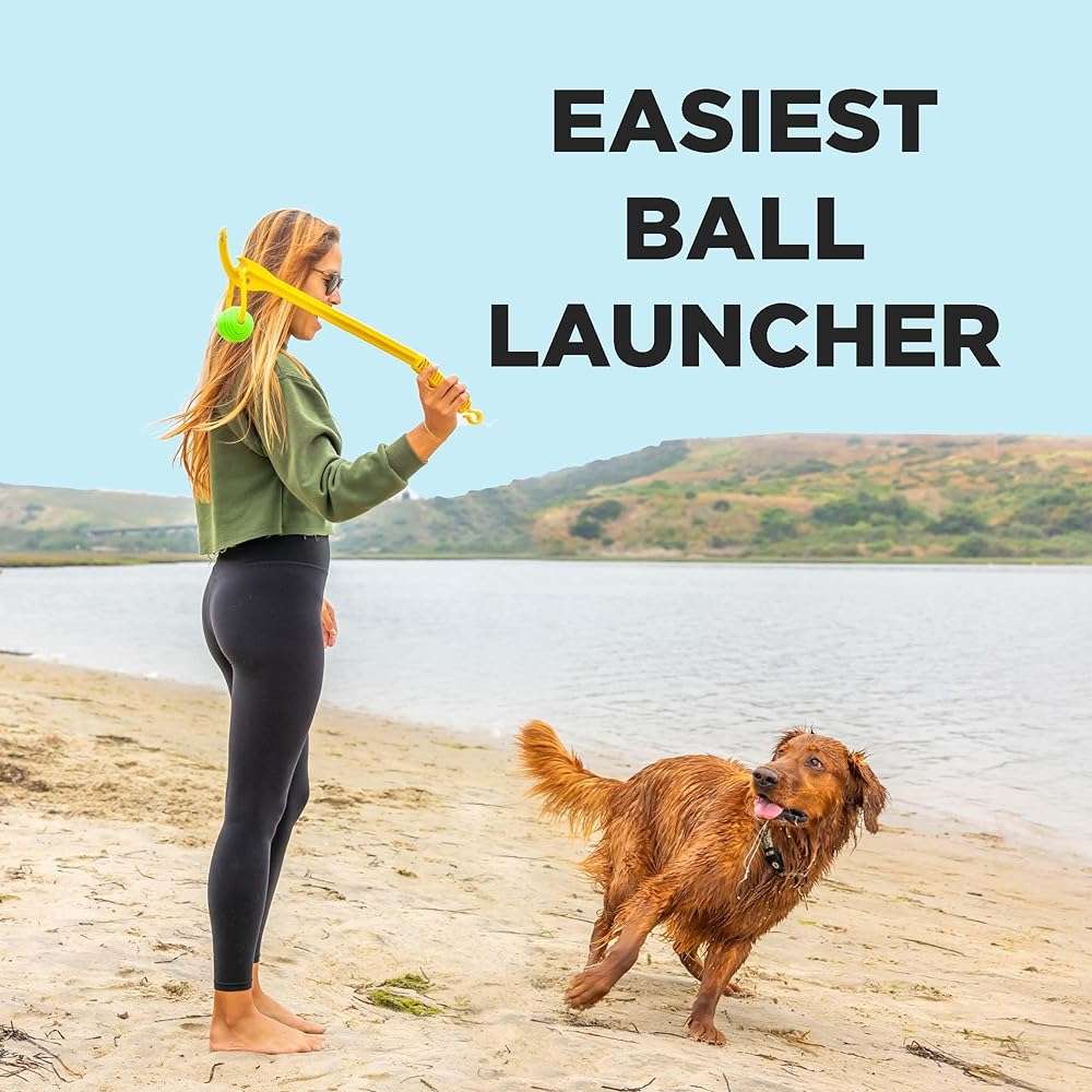 Project Hive Zoomer Stick | Dog Ball Thrower with Set of 2 Looped Dog Balls Included (Green and Blue) | Interactive Dog Toys for Both Land and Water | Balls for Dogs Perfect for Fetch and Tug Play - Image 5