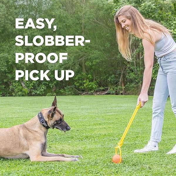 Project Hive Zoomer Stick | Dog Ball Thrower with Set of 2 Looped Dog Balls Included (Green and Blue) | Interactive Dog Toys for Both Land and Water | Balls for Dogs Perfect for Fetch and Tug Play - Image 6