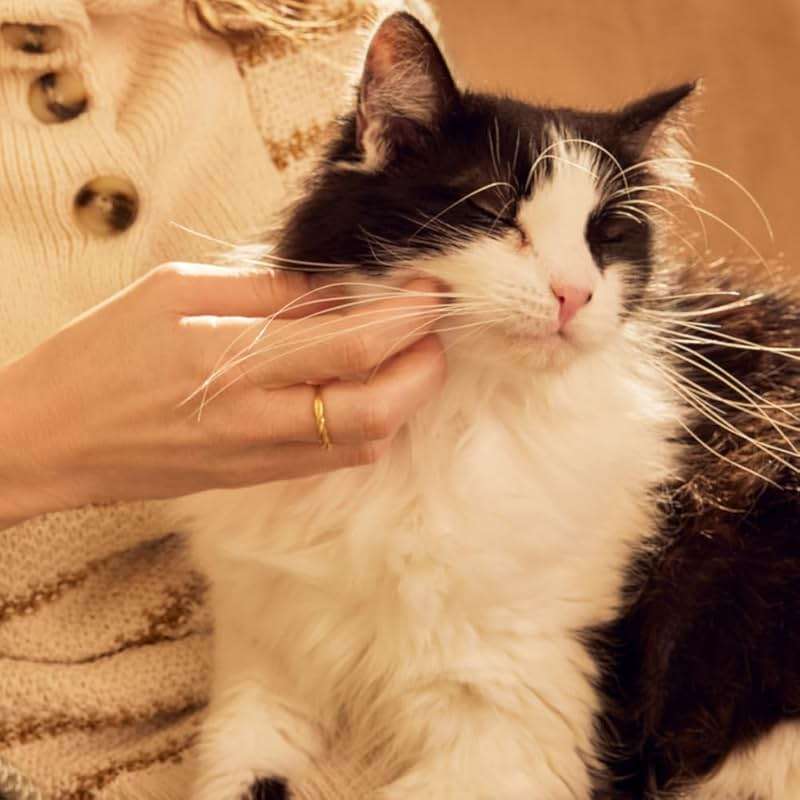 MRS. MEYER'S Clean Day Cat Deodorizing Spray, White Peach Scent, 8oz - Image 9