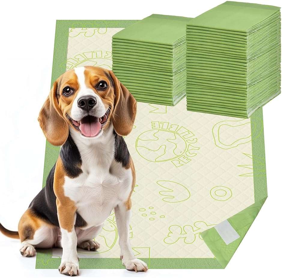 Dog Pee Pads with Adhesive Strips 50Count, 19"X30" Extra Large Disposable Pee Pads for Dogs, Non-Slip Puppy Training Pads for Crate/Cage/Carrier - Image 1