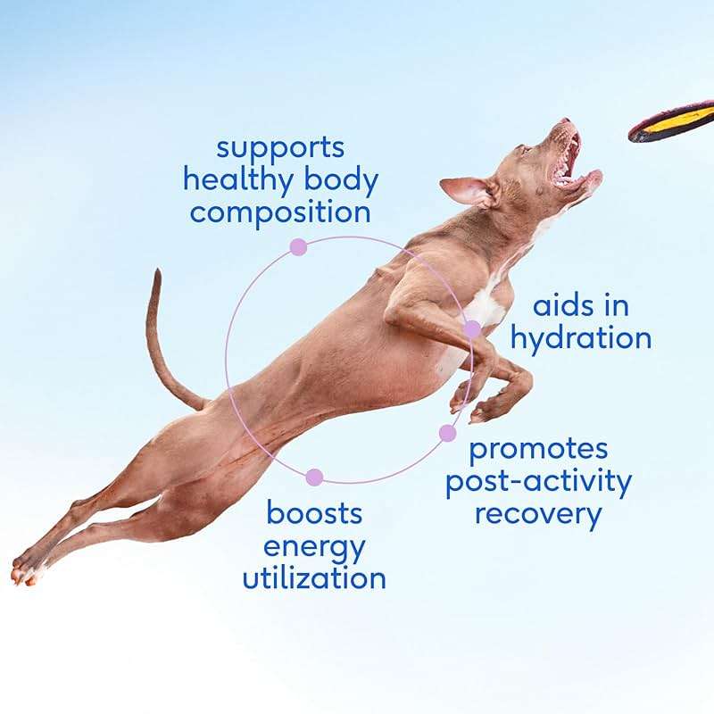 Native Pet Goat Milk Powder - Dog Food Topper for Active Dogs - Post-Activity Recovery, Energy, Immune Support, Hydration & Bone Health - Whole Goat Milk with MCTs & Essential Minerals - 60 Scoops - Image 2