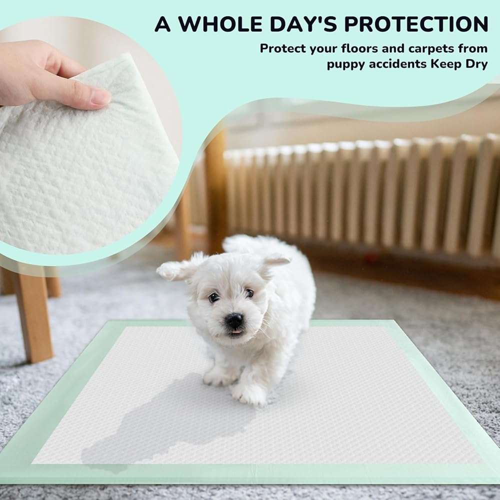 80PCS Pet Training and Puppy Pads - 24"x24" Disposable Waterproof Puppy Pee Pads - Maximum Absorption and Protection - Image 3