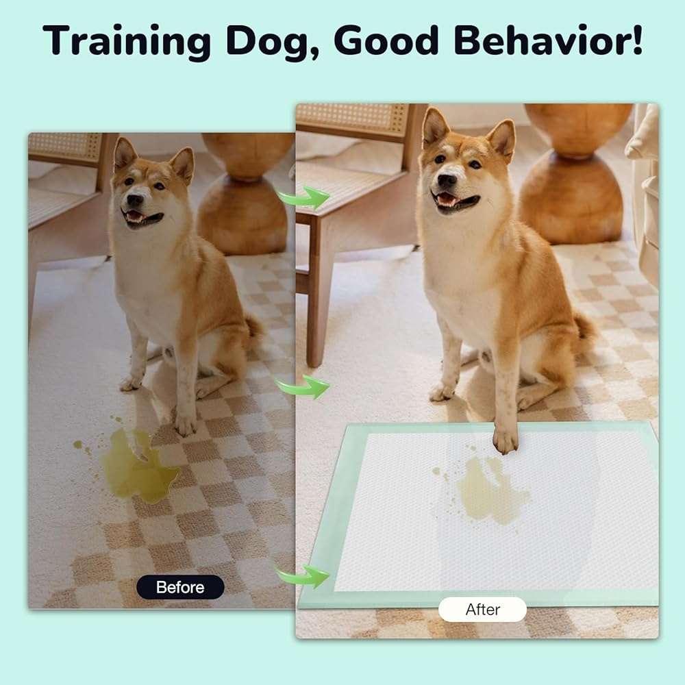80PCS Pet Training and Puppy Pads - 24"x24" Disposable Waterproof Puppy Pee Pads - Maximum Absorption and Protection - Image 5