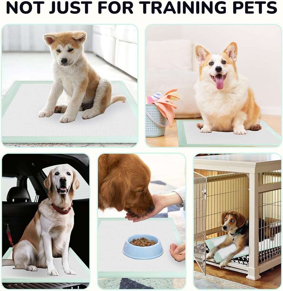 80PCS Pet Training and Puppy Pads - 24"x24" Disposable Waterproof Puppy Pee Pads - Maximum Absorption and Protection - Image 6