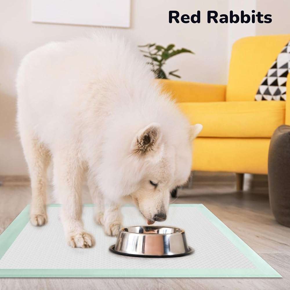 80PCS Pet Training and Puppy Pads - 24"x24" Disposable Waterproof Puppy Pee Pads - Maximum Absorption and Protection - Image 7