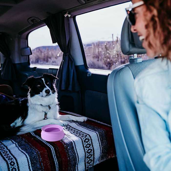 SLSON Spill Proof Dog Water Bowl for Cars,Collapsible No Splash Dog Travel Bowls Integrated Molding Portable Pet Bowl for Road Trip Truck,RV,SUV,Boat Accessories (Purple) - Image 2
