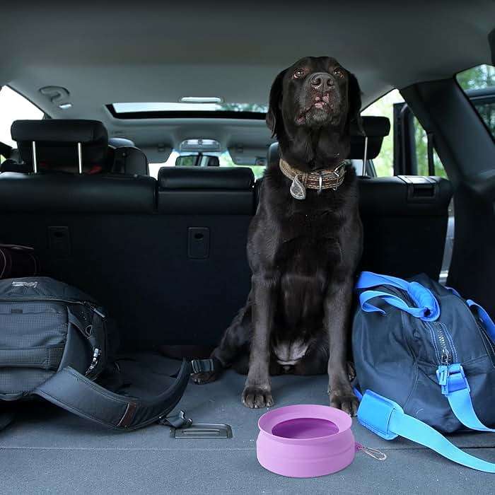 SLSON Spill Proof Dog Water Bowl for Cars,Collapsible No Splash Dog Travel Bowls Integrated Molding Portable Pet Bowl for Road Trip Truck,RV,SUV,Boat Accessories (Purple) - Image 6