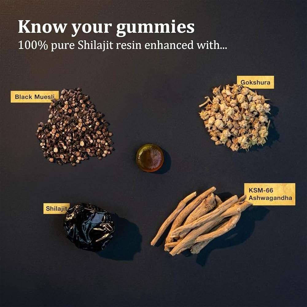 Shilajit Gummies | Alpha Gummies for Men | Lab Tested I No Added Sugar | Ashwagandha, Gokshura | Fulvic Acid & 85+ Trace Minerals for Men, Women | Non-GMO | 60 Gummy - Image 3