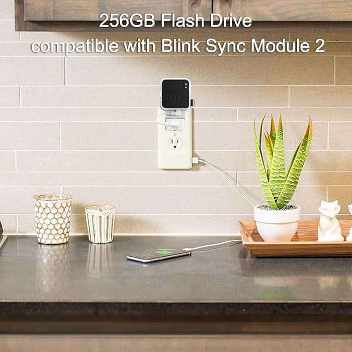 256GB USB Flash Drive with Outlet Wall Mount for Blink Sync Module 2, Space-Saving Mount Bracket Holder for Blink Outdoor/Indoor Security System (Sync Module 2 is NOT Included),1Pack - Image 3