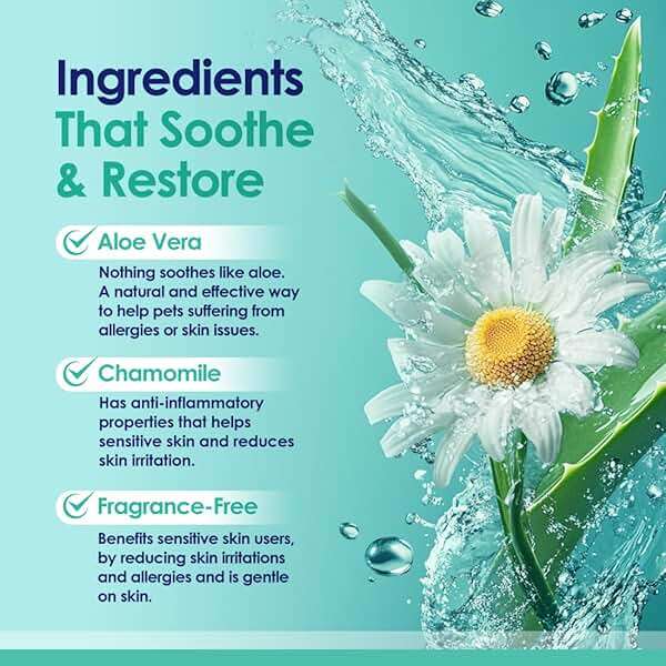 2-in-1 Dog Shampoo and Conditioner with Soothing Aloe Vera & Chamomile, Sensitive Skin, Fragrance-Free, Hypoallergenic Formula Provides Itchy Skin Relief from Dry Skin & Allergies - 16oz - Image 3