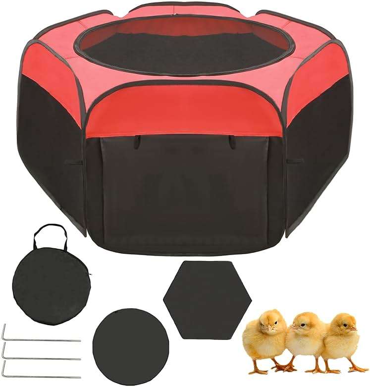 Chicken Brooder Box for Chick Starter Kit - 2025 Upgrade Double Door Chicks Brooder Pen/Chickens Playpen/Chick Tent Baby Chickens Supplies Up to 15 Baby Chicks,Duck,Quail - Image 1