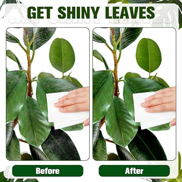 Swiffen 4 Pack 320 Ct Plant Leaf Cleaning Wipes for Leaf Shine Gentle Based Wipes for Shiny Leaves Remove Dust and Better Photosynthesis Unscented Extra Thick Waffle Weave Wipe for House Outdoor Plant - Image 3