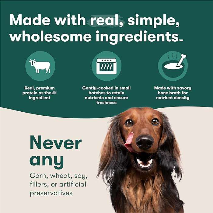 Jinx Beef & Chicken Grain Free Wet Dog Food Pouches, Meal or Dog Food Topper Mix-in, Made with Real Beef & Chicken, Bone Broth, No Fillers - Puppy, Adult, Senior, 9oz, 6 Pack - Image 4