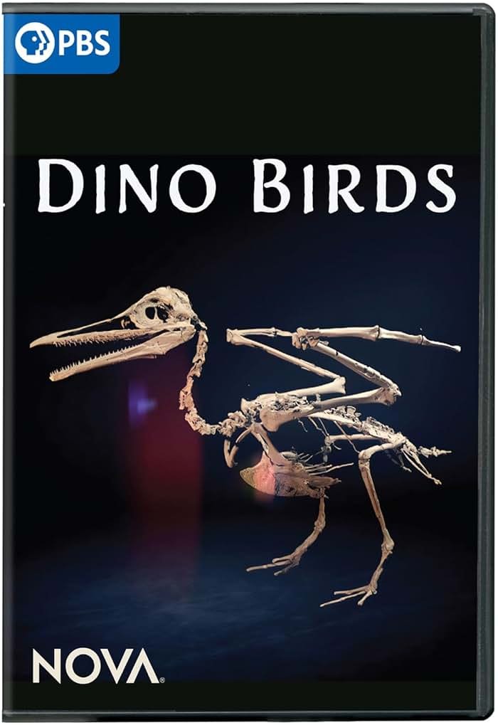 NOVA: Dino Birds - Product Image